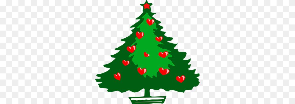 Christmas Tree Plant, Green, Festival, Christmas Decorations Free Transparent Png