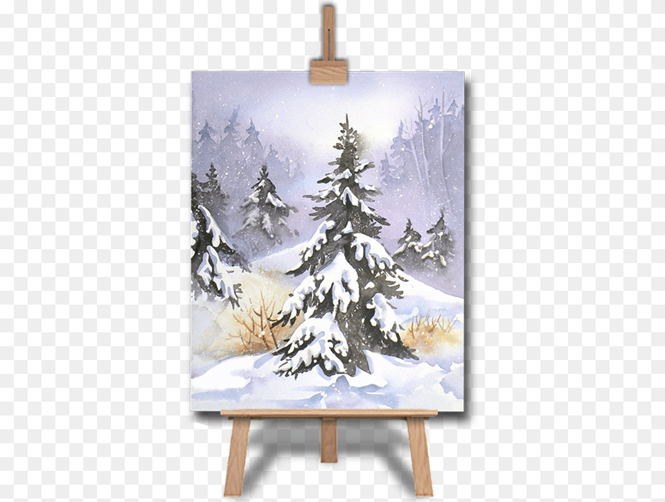 Christmas Tree, Plant, Fir, Canvas, Person Png Image