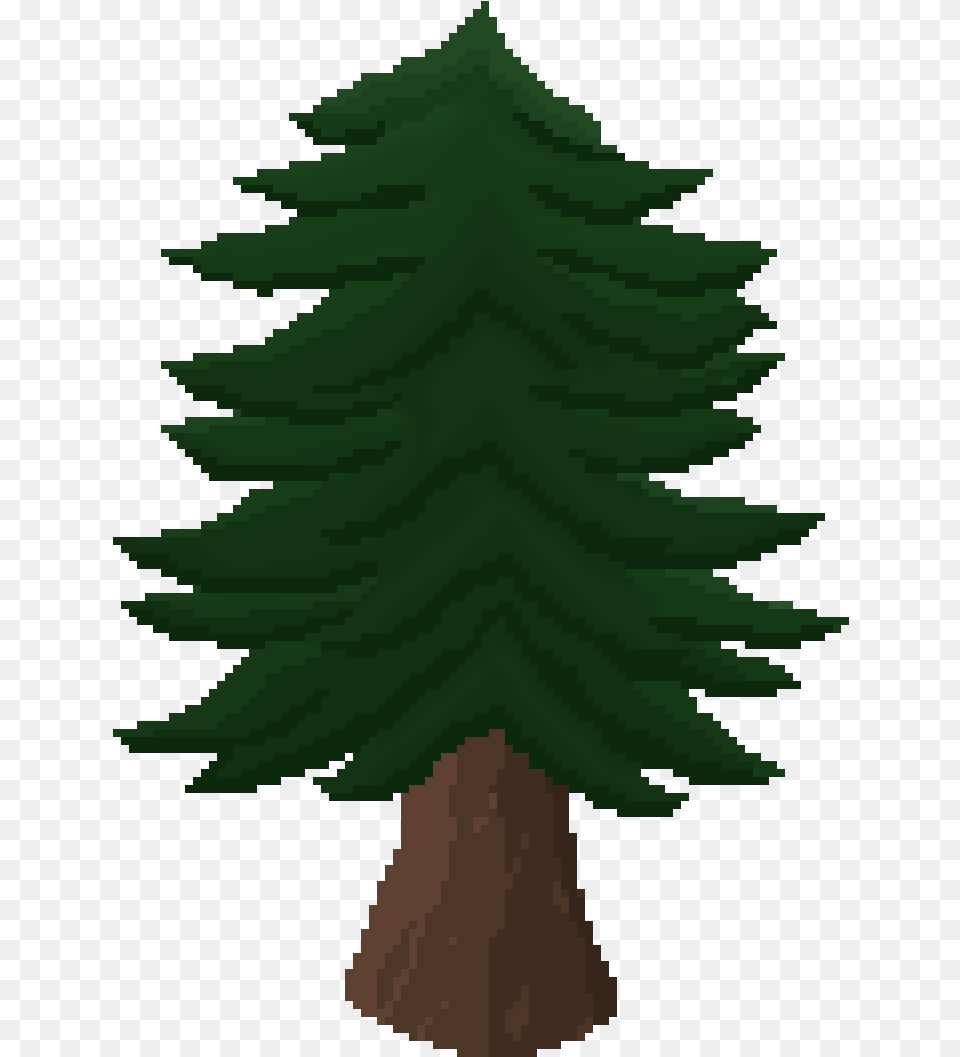 Christmas Tree, Fir, Plant, Conifer, Pine Png Image