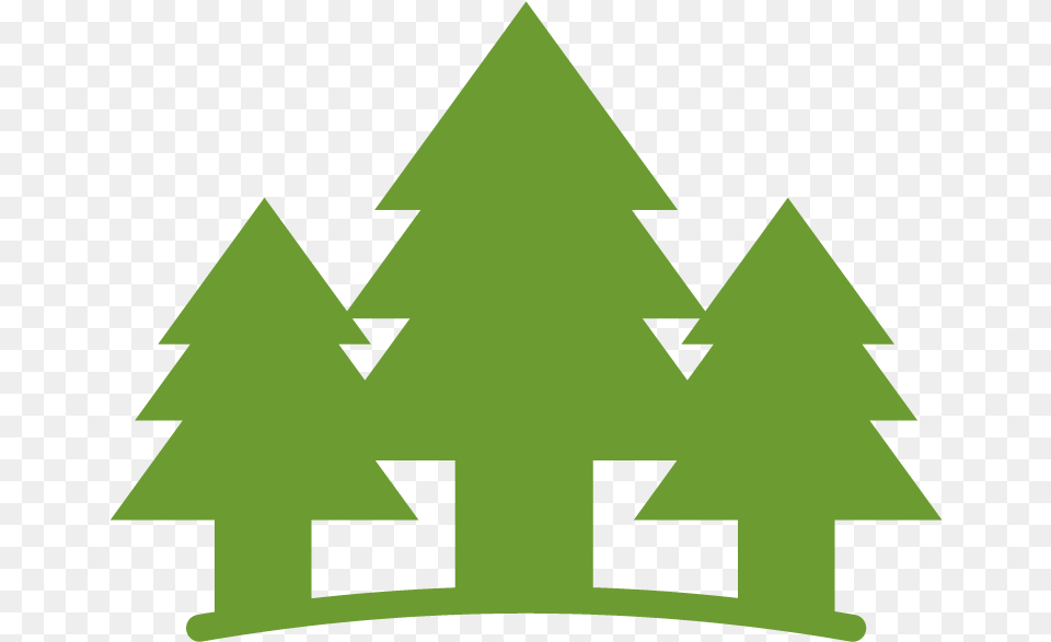Christmas Tree, Green, Triangle, Symbol Free Png