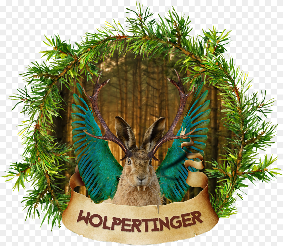 Christmas Tree, Plant, Animal, Hare, Mammal Free Png