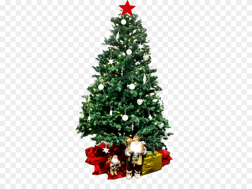 Christmas Tree, Plant, Christmas Decorations, Festival, Person Free Transparent Png