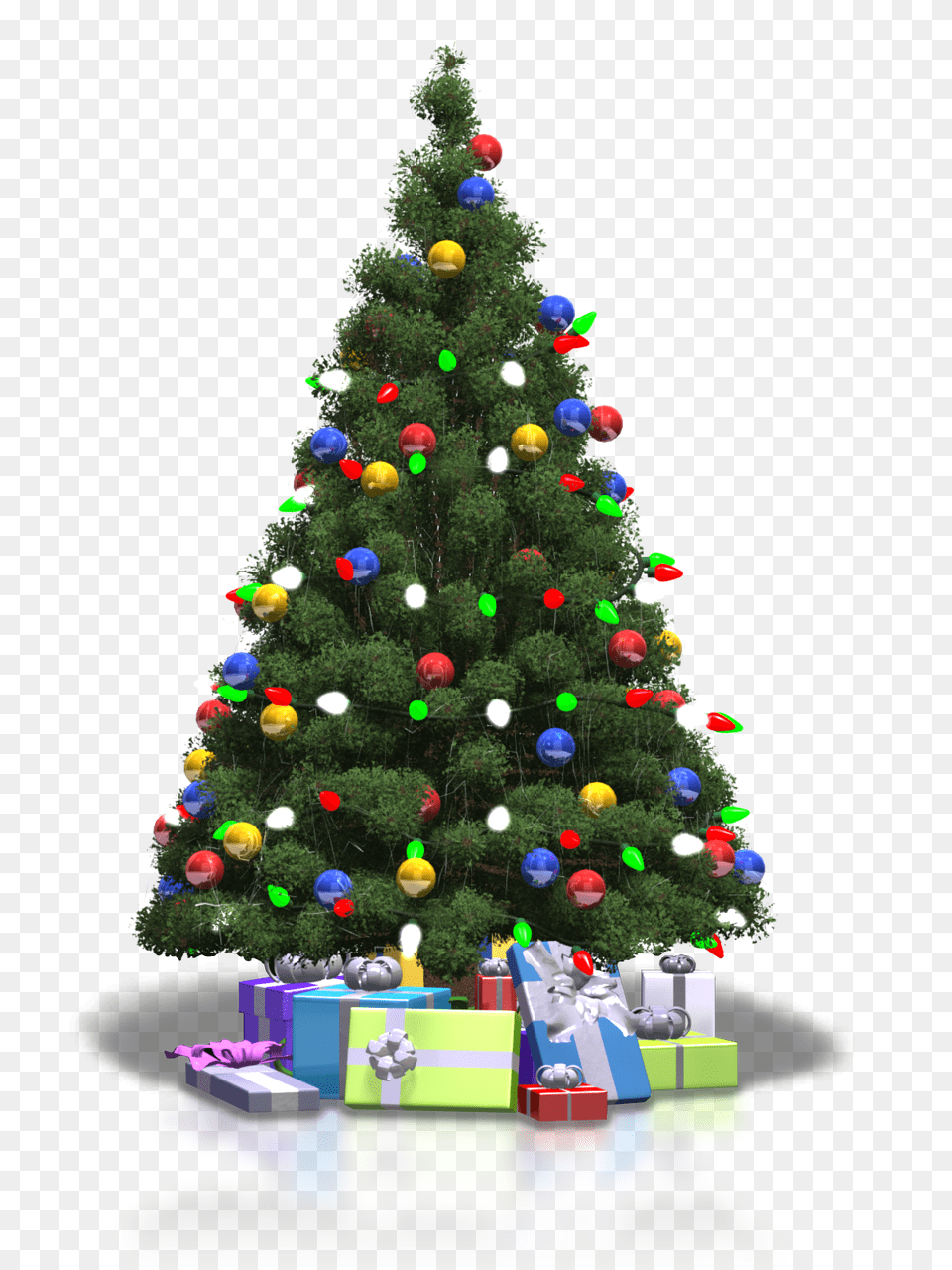 Christmas Tree, Plant, Christmas Decorations, Festival, Christmas Tree Png