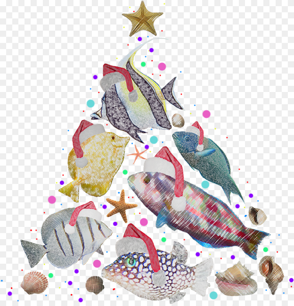 Christmas Tree, Animal, Fish, Sea Life, Aquatic Png Image