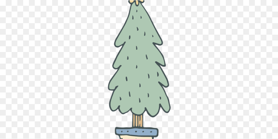 Christmas Tree, Plant, Christmas Decorations, Festival, Person Png Image