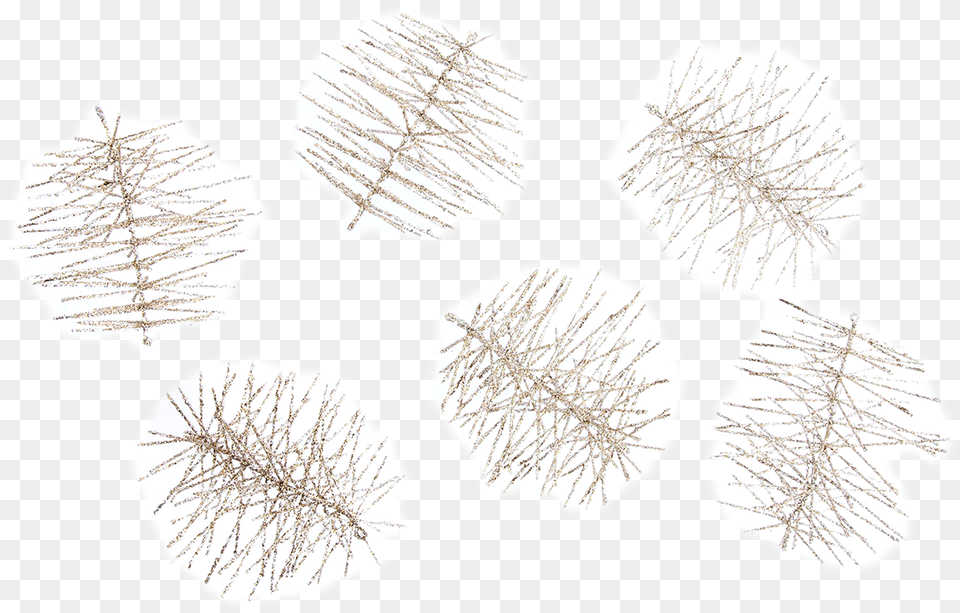 Christmas Tree, Leaf, Plant, Rock, Person Png