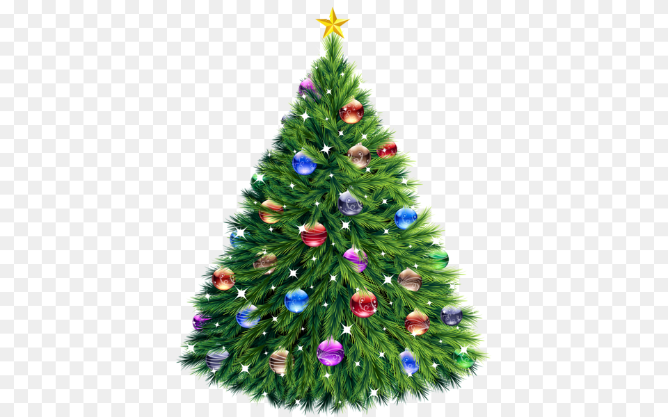 Christmas Tree, Plant, Christmas Decorations, Festival, Christmas Tree Free Transparent Png