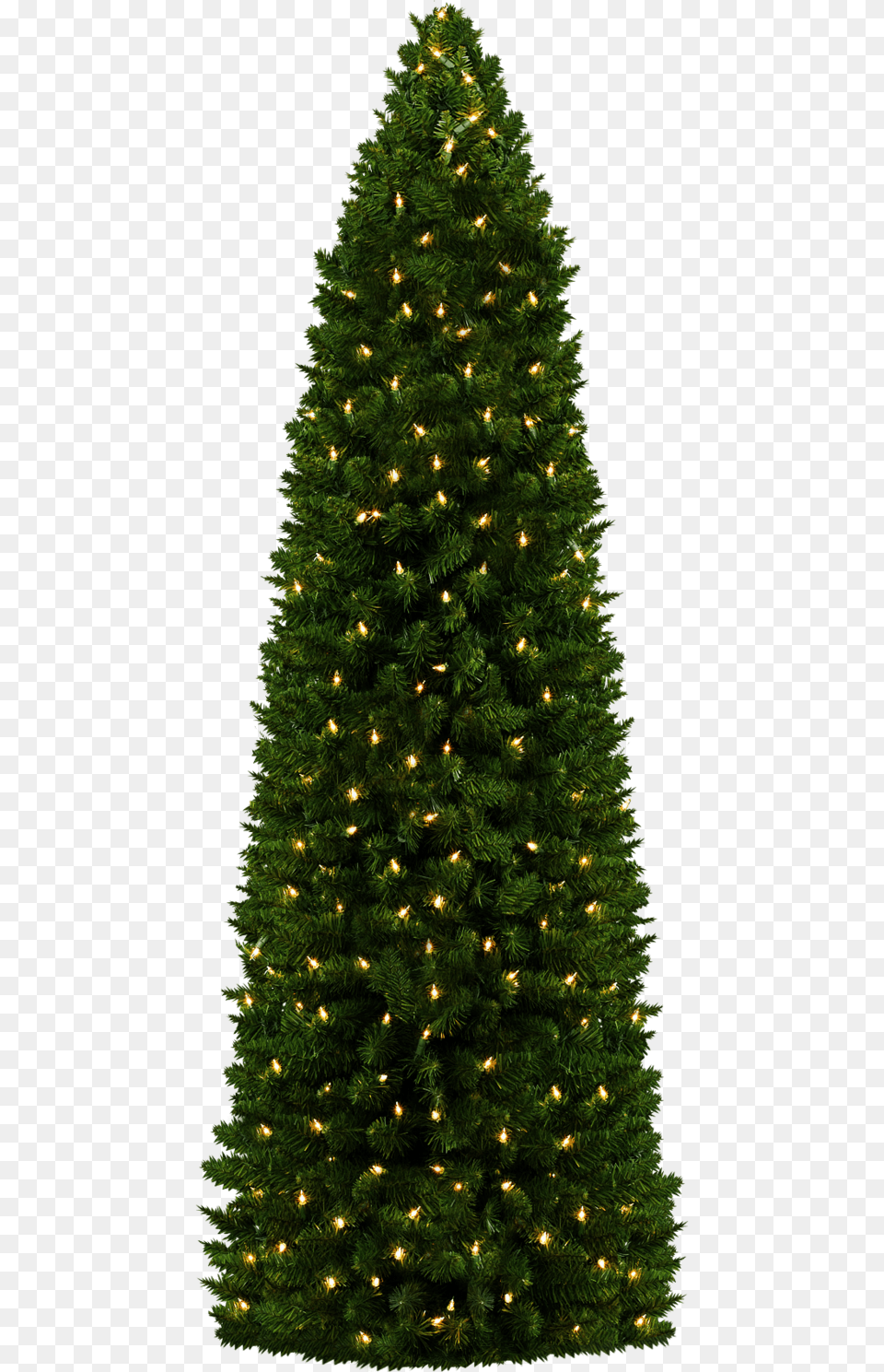 Christmas Tree, Plant, Christmas Decorations, Festival, Fir Free Png