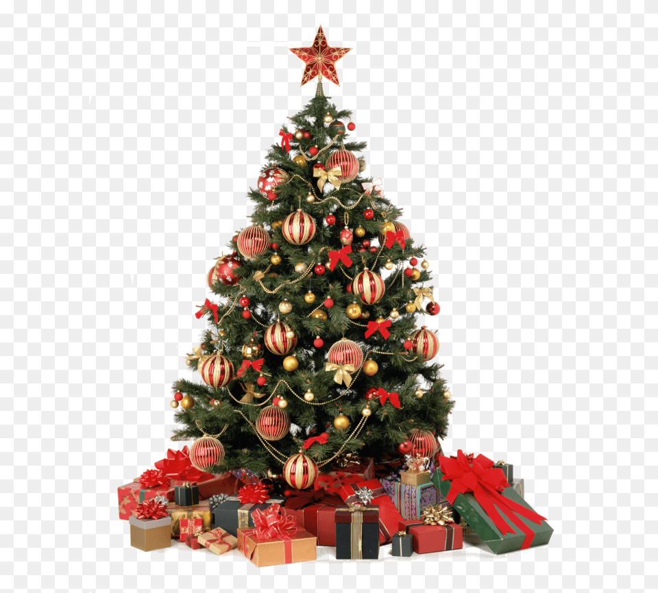 Christmas Tree, Christmas Decorations, Festival, Plant, Christmas Tree Free Png