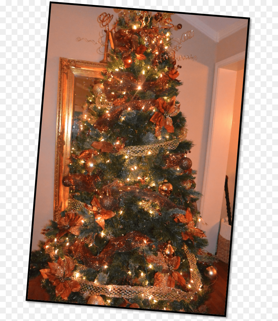 Christmas Tree, Christmas Decorations, Festival, Christmas Tree, Plant Free Png