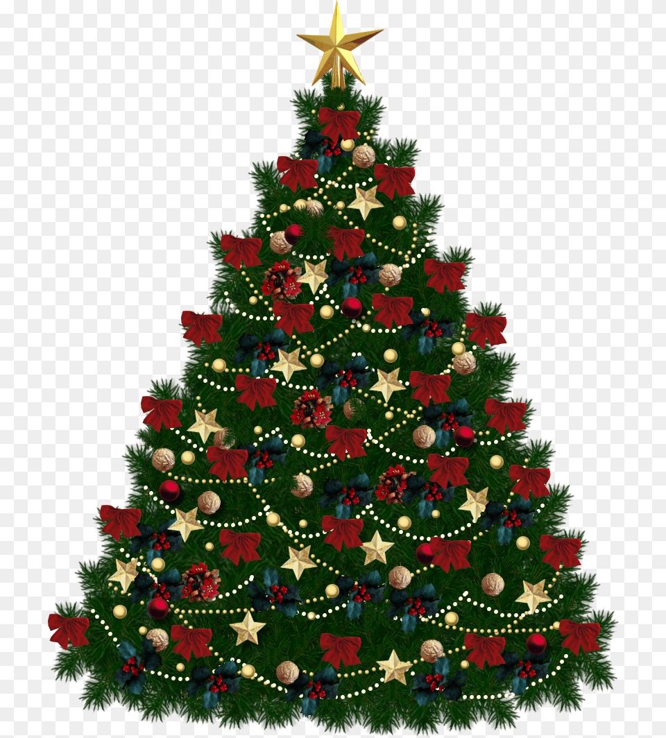 Christmas Tree, Plant, Christmas Decorations, Festival, Christmas Tree Free Png Download