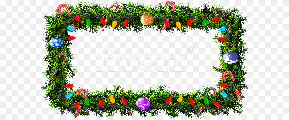 Christmas Tree, Plant Free Transparent Png