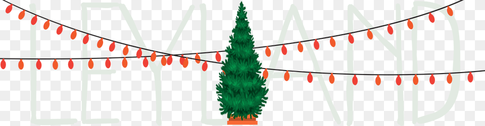 Christmas Tree, Text Png Image