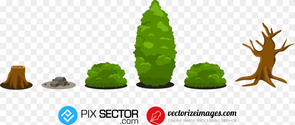 Christmas Tree, Plant, Green, Pine, Animal Free Png Download
