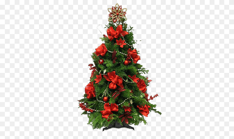 Christmas Tree, Plant, Christmas Decorations, Festival, Christmas Tree Free Transparent Png