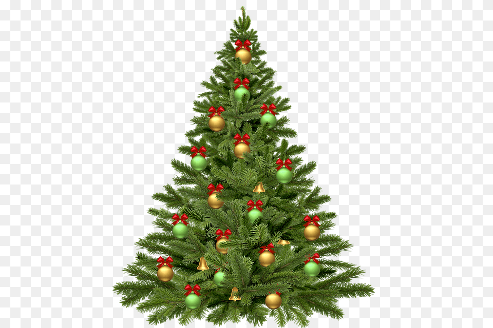 Christmas Tree, Plant, Christmas Decorations, Pine, Festival Png Image
