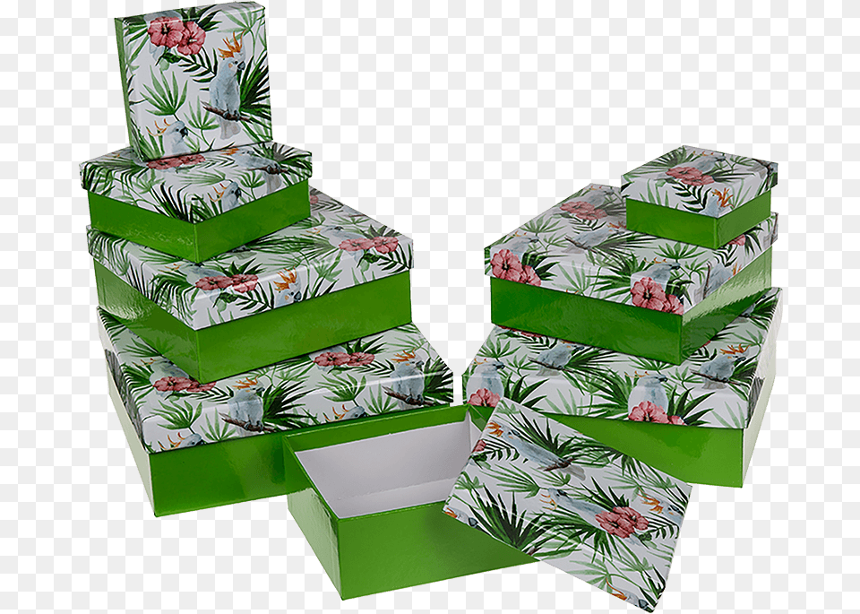 Christmas Tree, Box, Animal, Bird, Paper Png Image