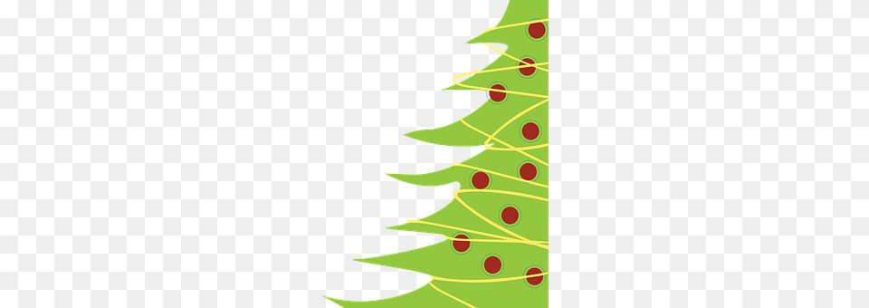 Christmas Tree Christmas Decorations, Festival, Christmas Tree, Plant Free Png