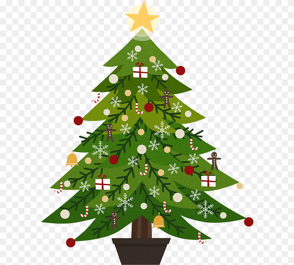 Christmas Tree, Plant, Christmas Decorations, Festival, Christmas Tree Free Transparent Png