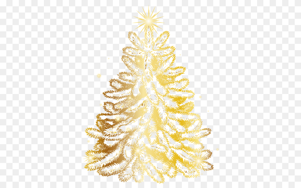 Christmas Tree, Festival, Christmas Decorations, Wedding, Person Free Transparent Png