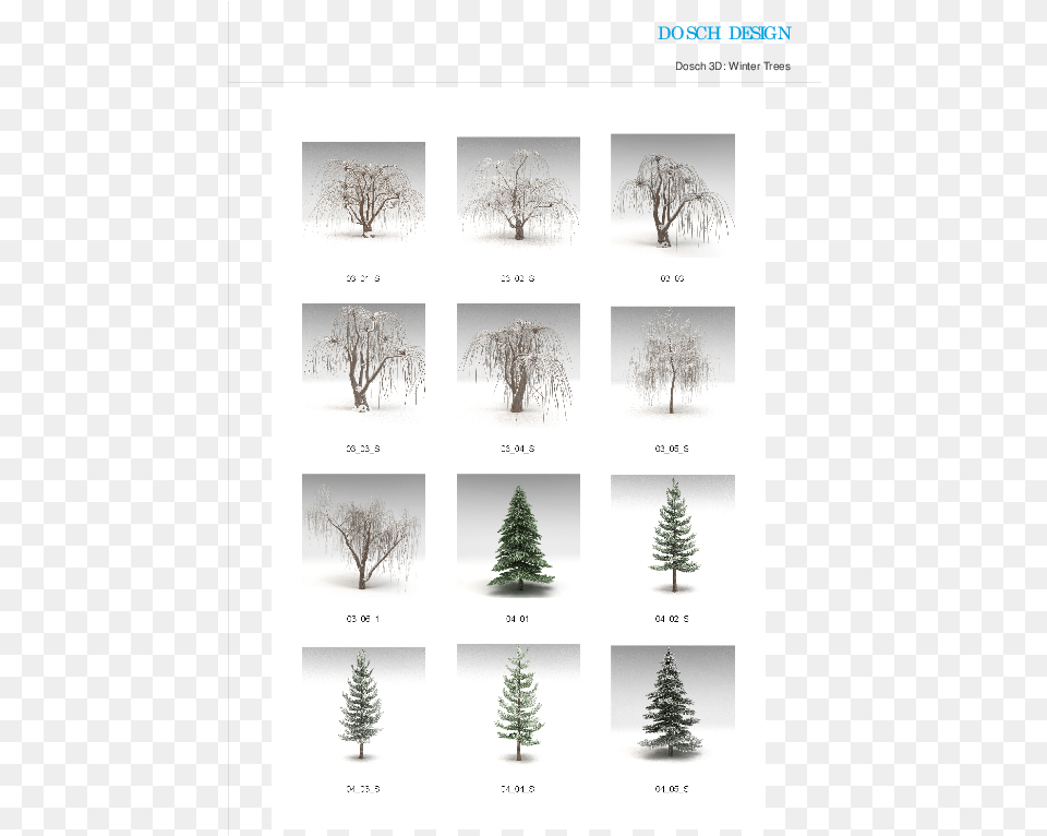 Christmas Tree, Fir, Pine, Plant, Art Free Png Download
