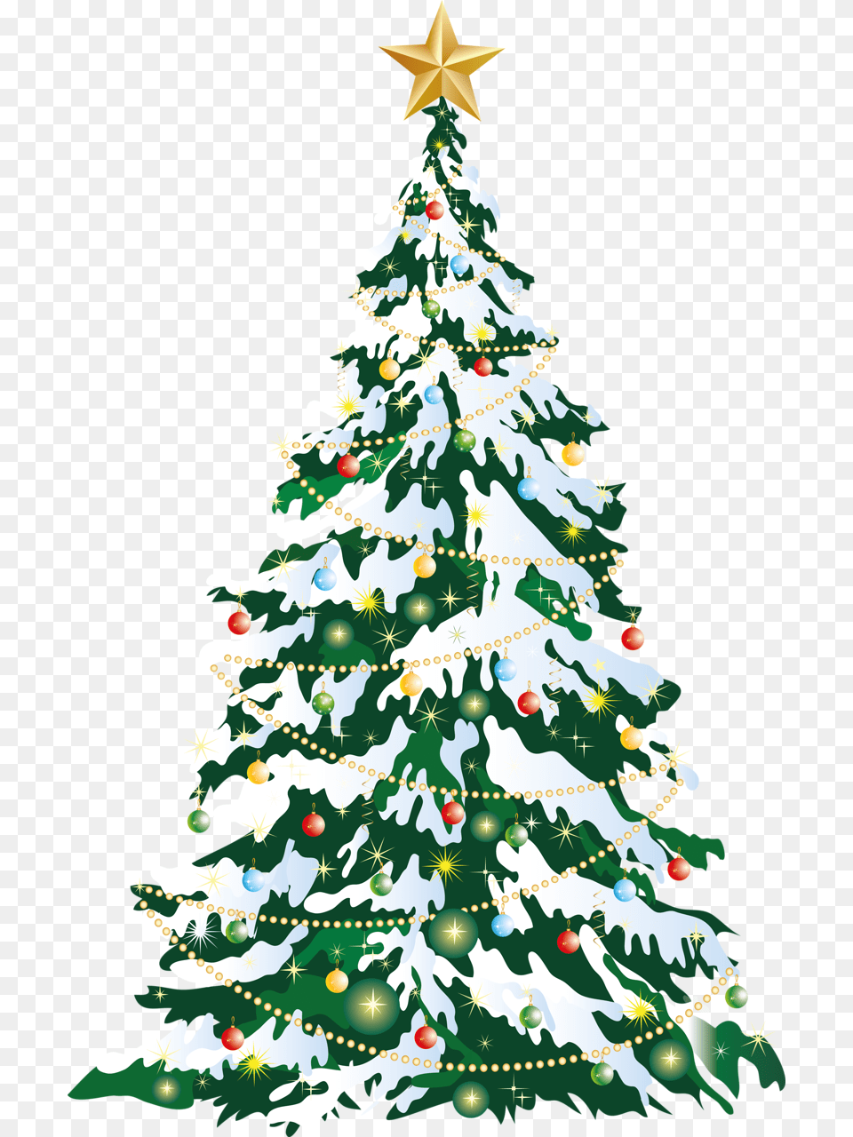 Christmas Tree, Plant, Christmas Decorations, Festival, Christmas Tree Free Transparent Png