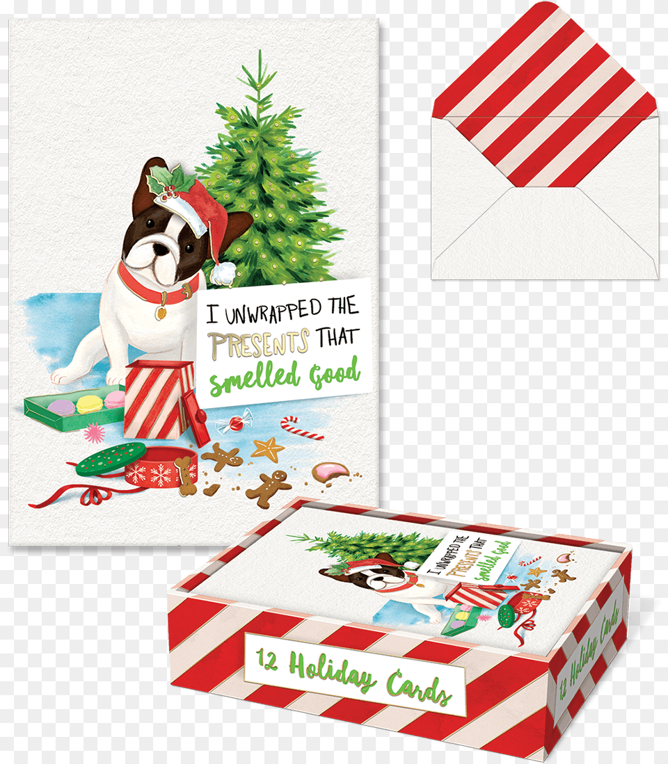 Christmas Tree, Box, Animal, Canine, Dog Png