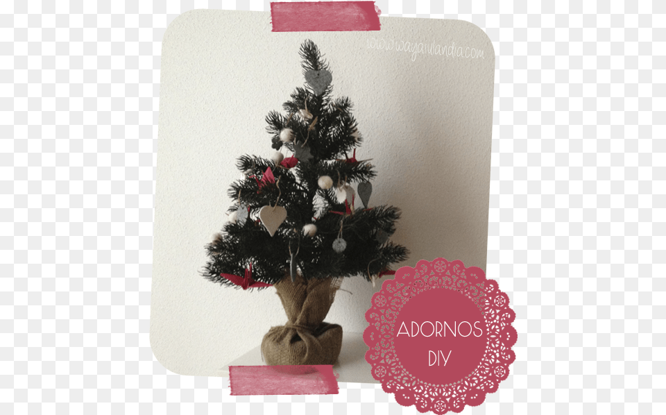 Christmas Tree, Plant, Christmas Decorations, Festival, Christmas Tree Png Image