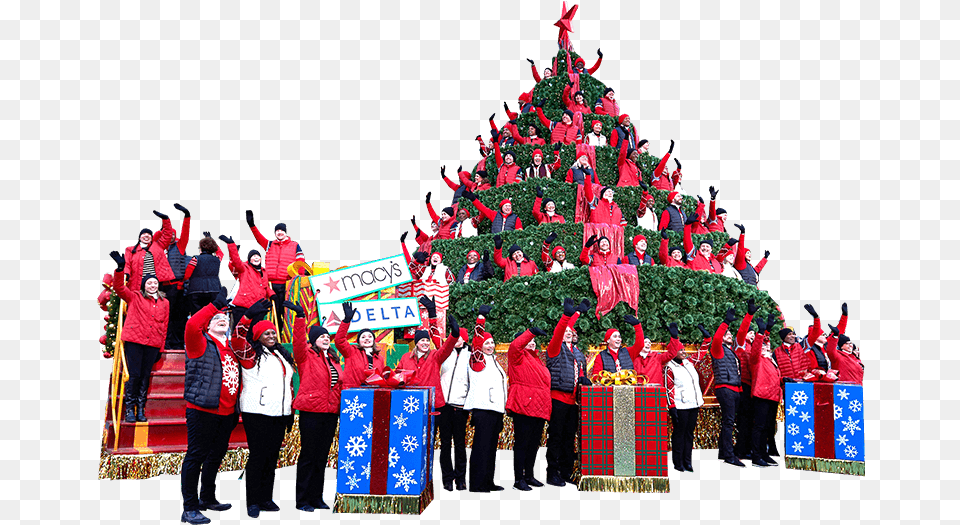 Christmas Tree, Person, Christmas Decorations, Festival, Christmas Tree Free Transparent Png