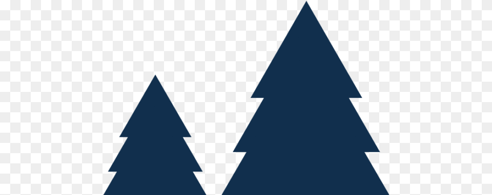 Christmas Tree, Triangle, Person Png