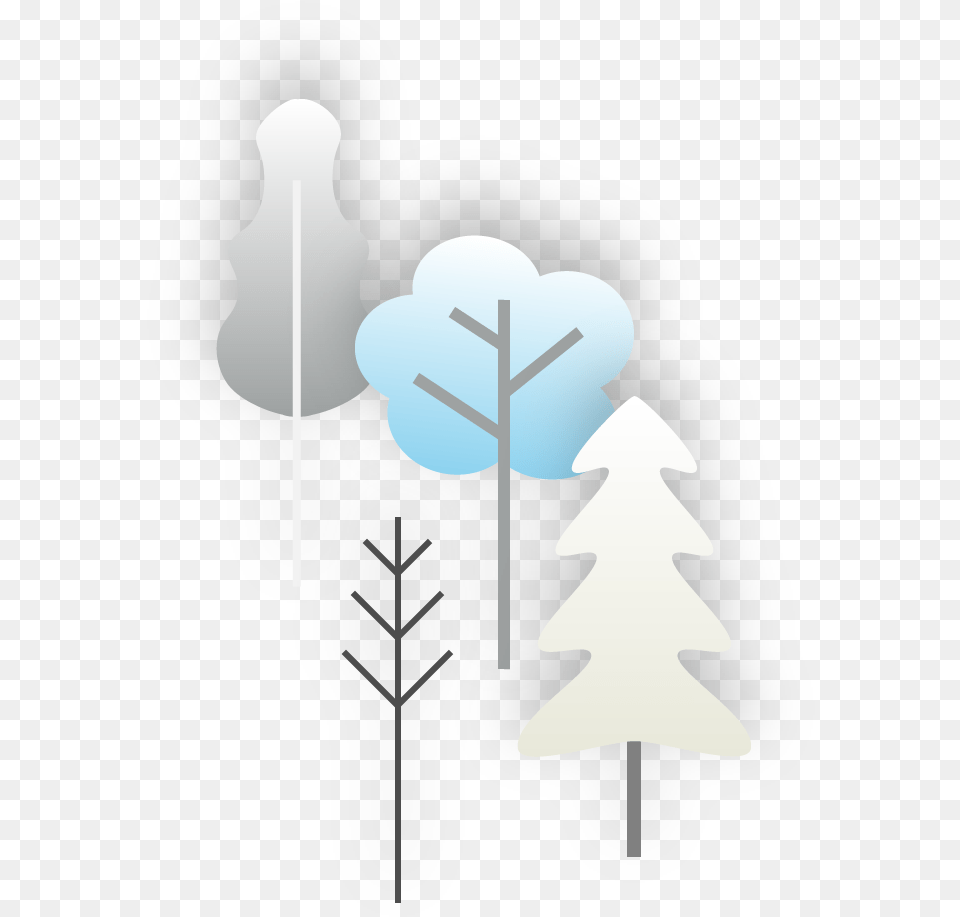 Christmas Tree, Outdoors, Nature, Snow Png Image