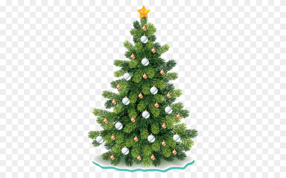 Christmas Tree, Plant, Pine, Conifer, Christmas Decorations Free Png