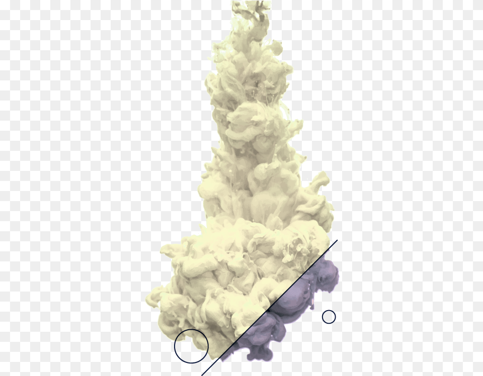 Christmas Tree, Adult, Bride, Female, Person Free Png