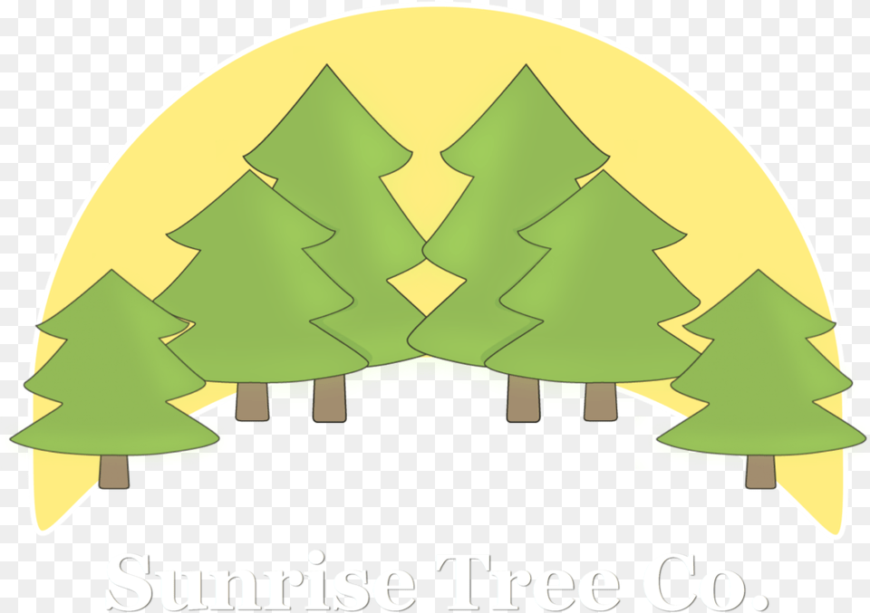 Christmas Tree, Green Png Image