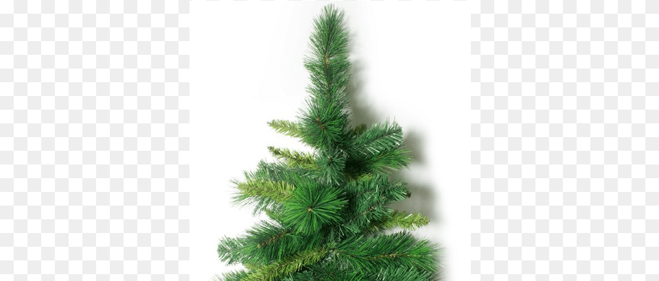 Christmas Tree, Fir, Pine, Plant, Conifer Png