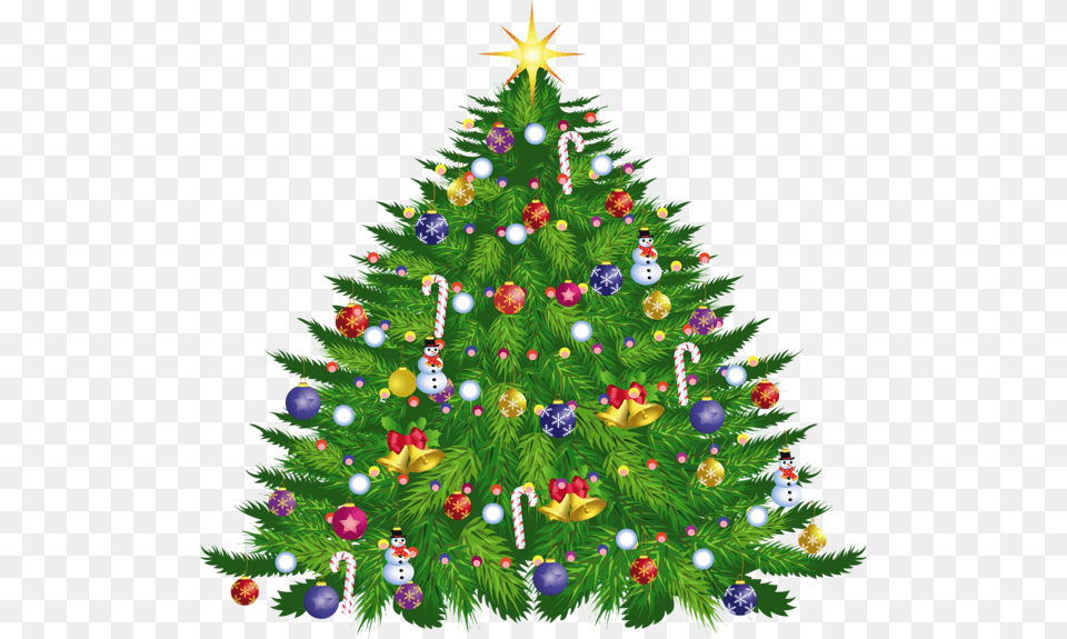 Christmas Tree, Plant, Christmas Decorations, Festival, Christmas Tree Free Png