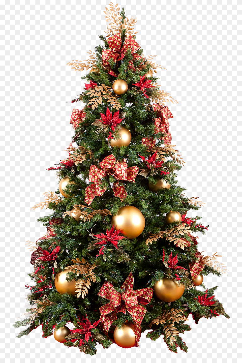 Christmas Tree, Plant, Christmas Decorations, Festival, Christmas Tree Png Image