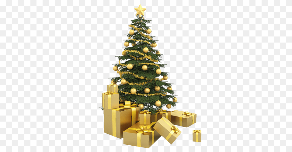 Christmas Tree, Plant, Christmas Decorations, Festival, Christmas Tree Free Transparent Png