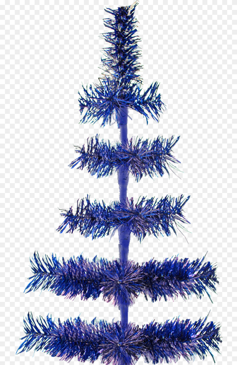 Christmas Tree, Ice, Plant, Christmas Decorations, Festival Png