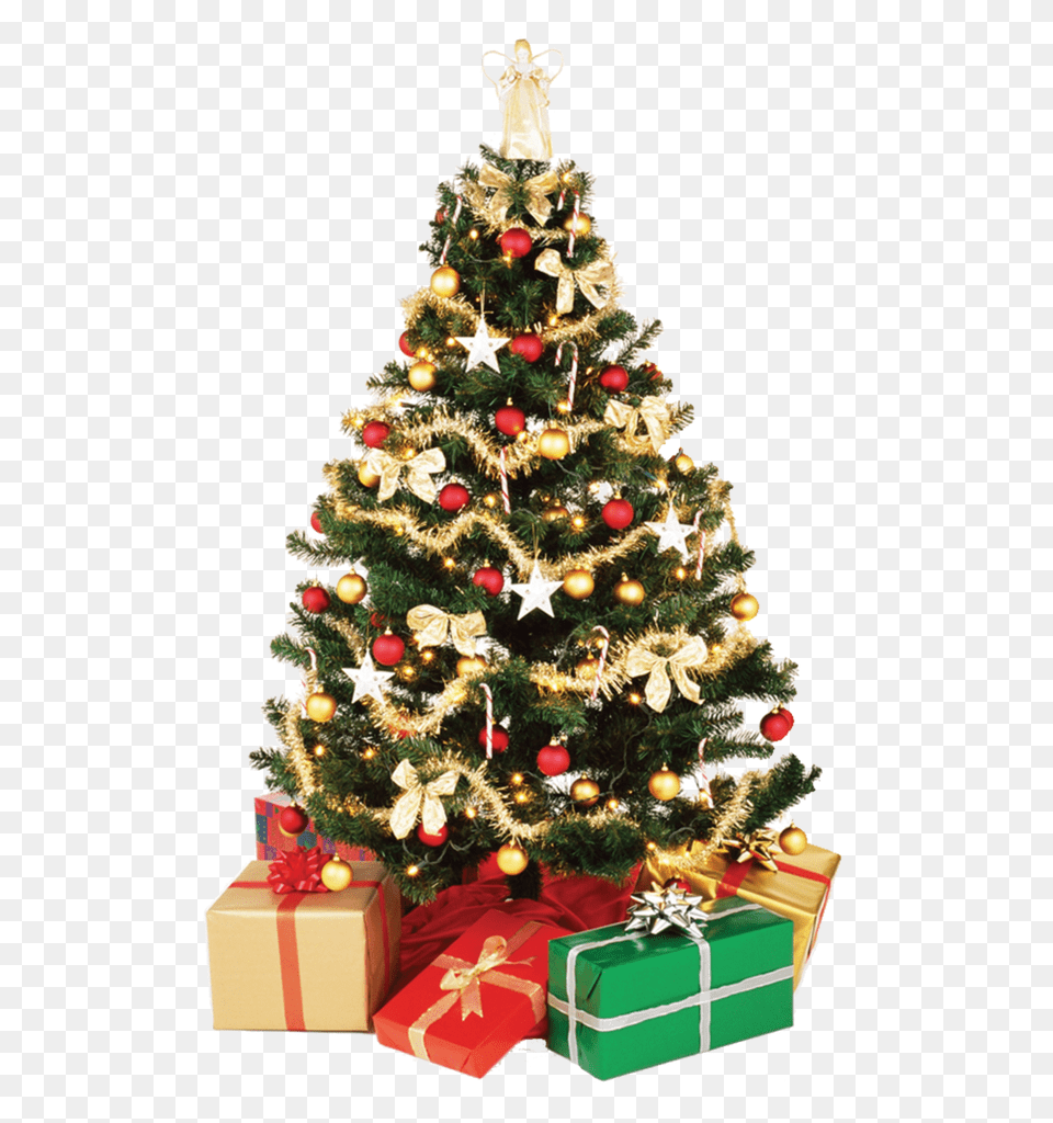 Christmas Tree, Plant, Christmas Decorations, Festival, Christmas Tree Free Png Download