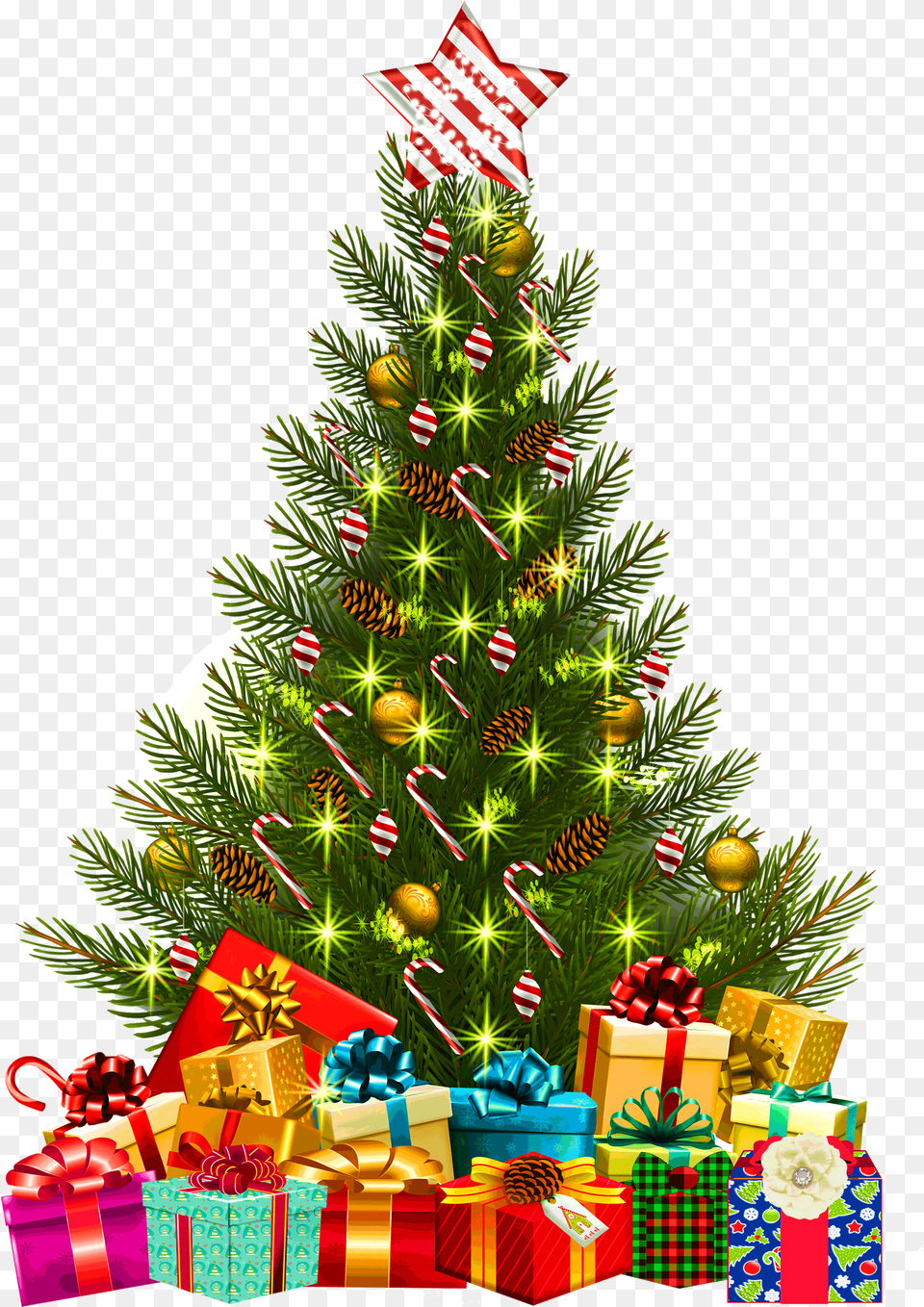Christmas Tree Amp Presents, Plant, Christmas Decorations, Festival, Christmas Tree Png
