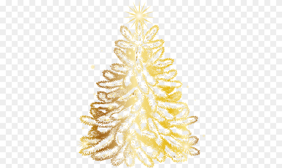 Christmas Tree Arbol Transparente, Festival, Christmas Decorations, Wedding, Person Png