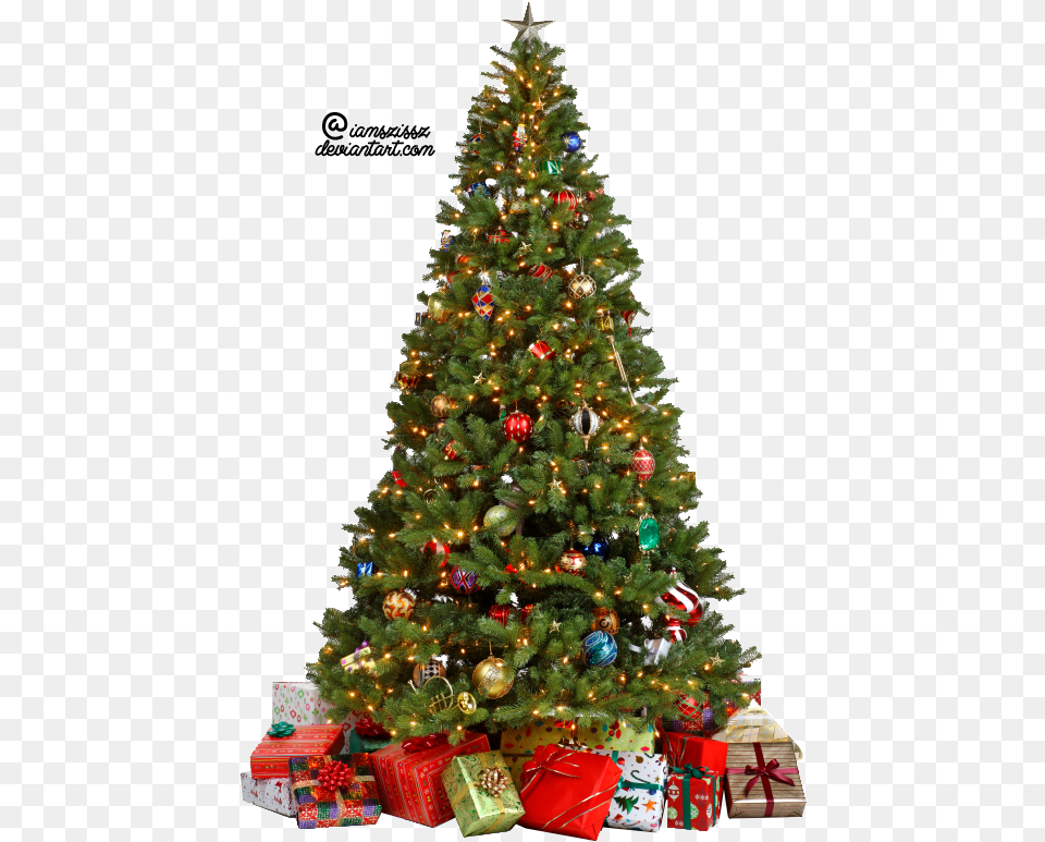Christmas Tree Background Christmas Tree, Plant, Christmas Decorations, Festival, Christmas Tree Free Png