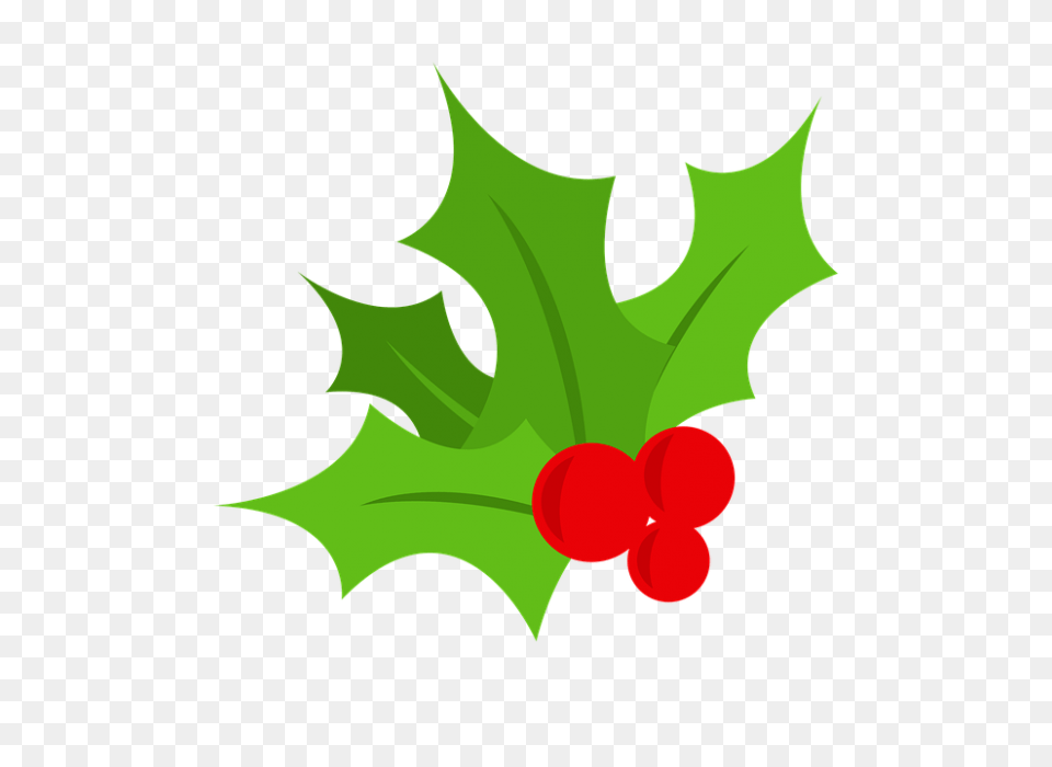 Christmas Tree Berry Mistletoe, Leaf, Plant, Food, Fruit Free Png Download