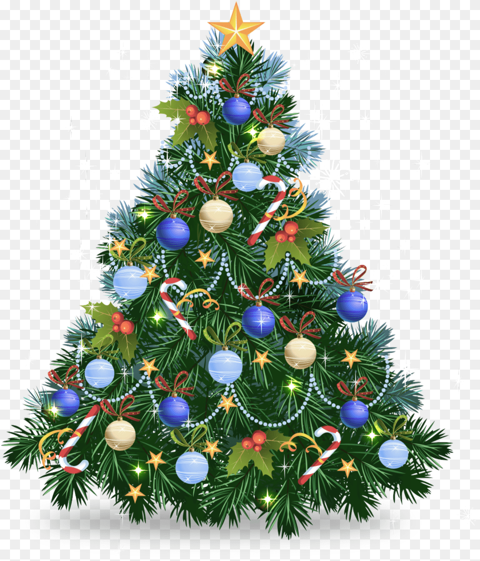 Christmas Tree Blue Christmas Ornament Christmas Tree, Plant, Christmas Decorations, Festival, Christmas Tree Free Transparent Png