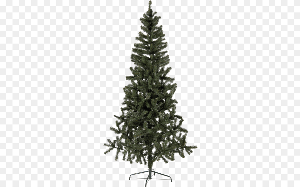 Christmas Tree Canadian Christmas Tree, Fir, Pine, Plant, Conifer Png Image