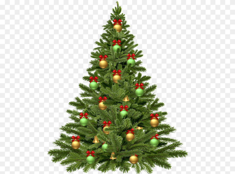 Christmas Tree Christmas Tree, Plant, Christmas Decorations, Festival, Christmas Tree Free Png Download