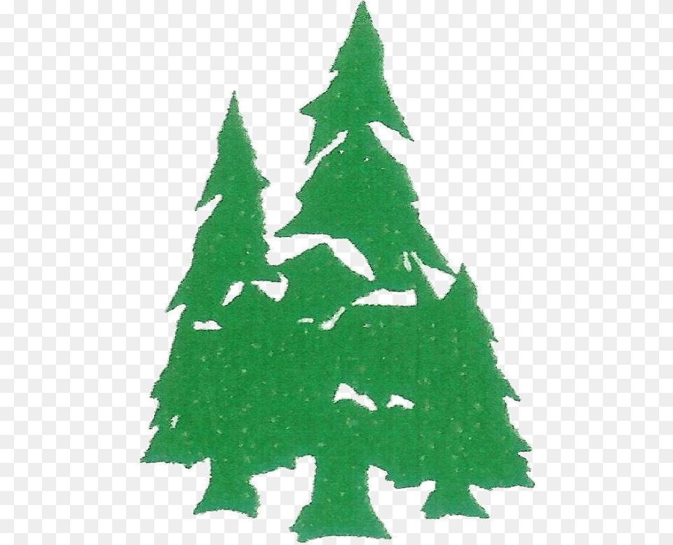 Christmas Tree Christmas Tree, Leaf, Plant, Green, Person Free Transparent Png