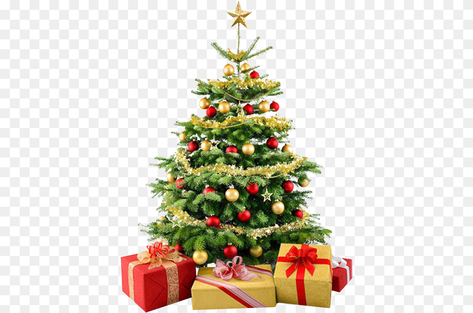 Christmas Tree Christmas Tree No Background, Plant, Christmas Decorations, Festival, Christmas Tree Png Image