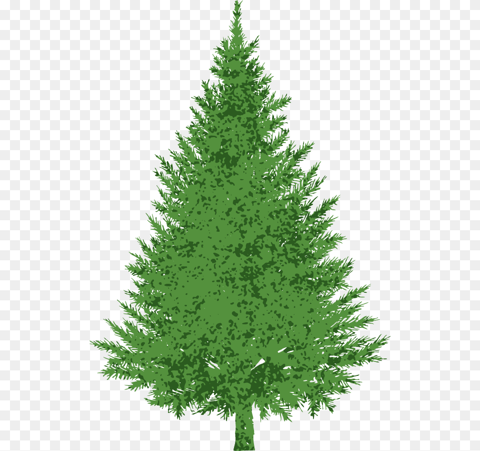 Christmas Tree Christmas Tree Plain, Fir, Plant, Pine, Conifer Free Png Download